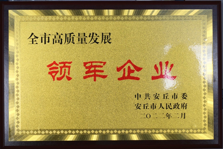 Good news: Wenrui Machinery won the honorary title of 'leading enterprise' for high-quality development in Anqiu City